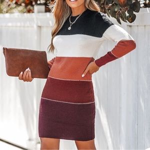 NWT Striped Bodycon Sweater Dress